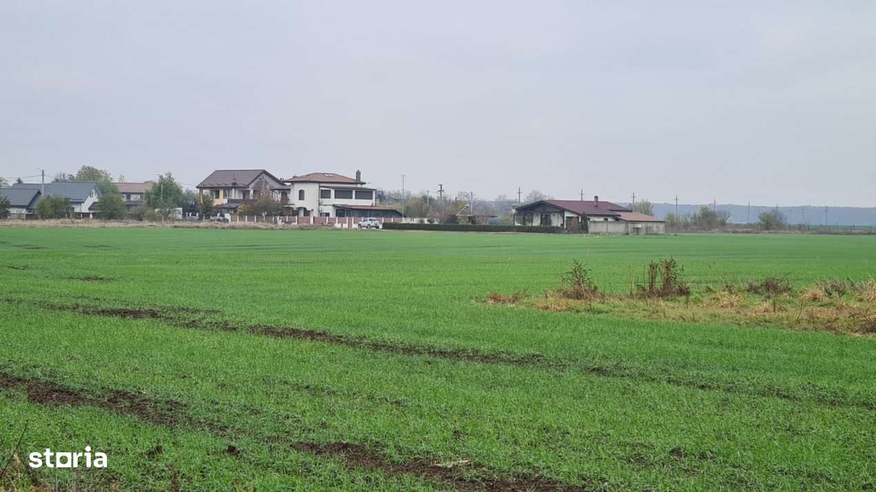 Teren Branesti -Romancierilor - Imagine principală: 3/7