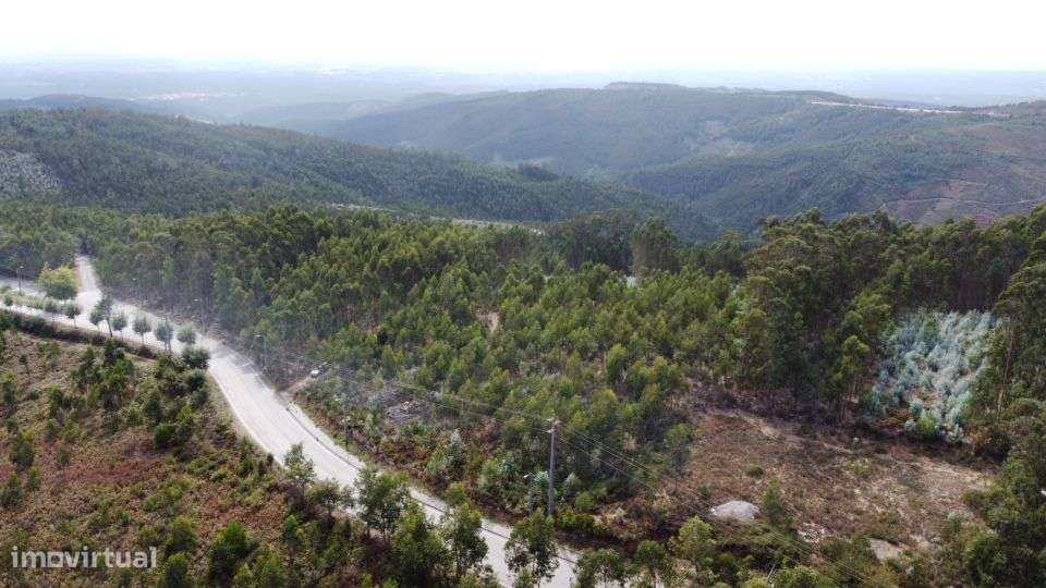 Terreno – Sever do Vouga - Grande imagem: 2/7