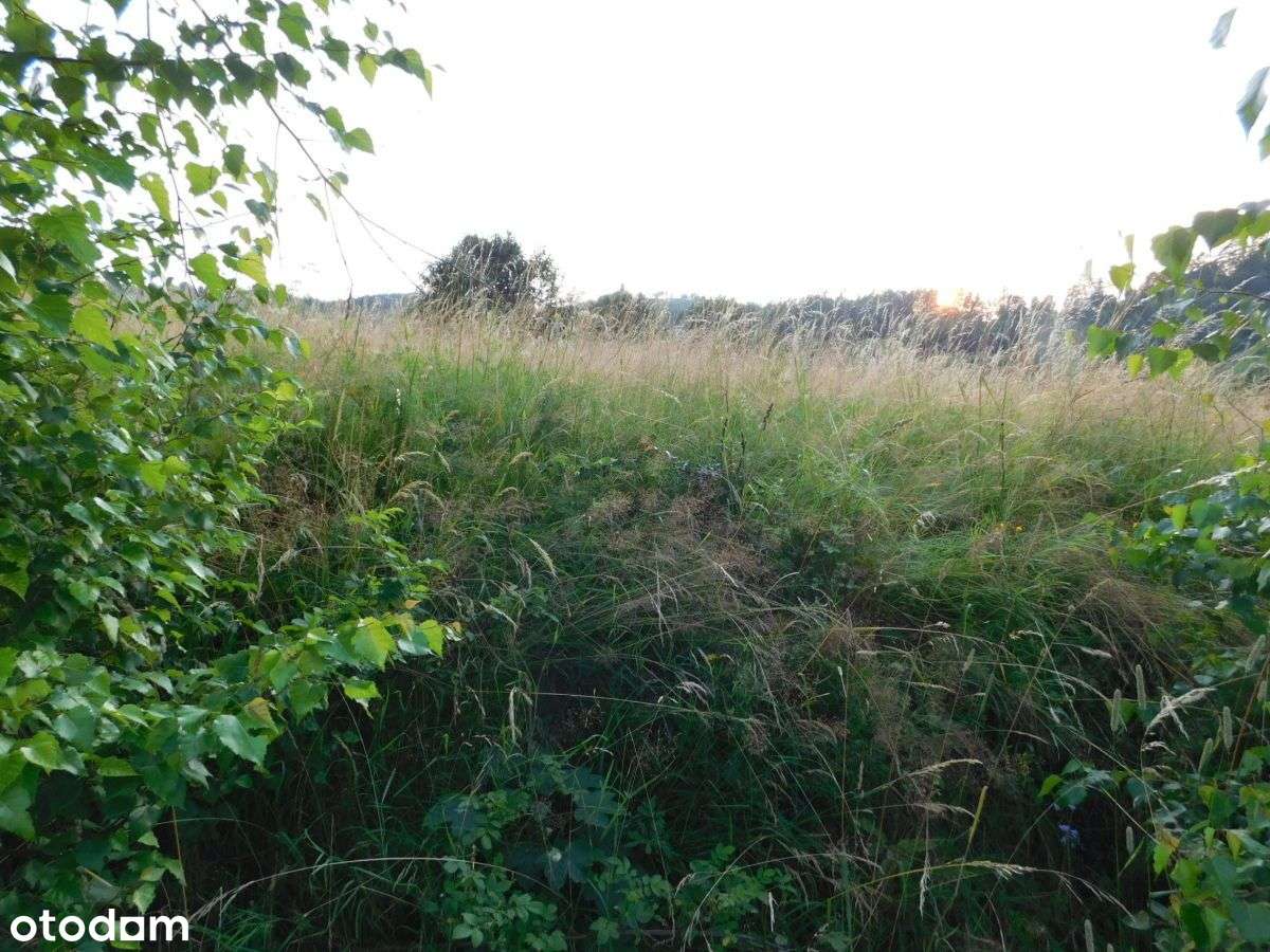 DziaŁka Budowlana Widokowa W Górskiej MiejscowoŚci - Pełny obrazek: 5/6