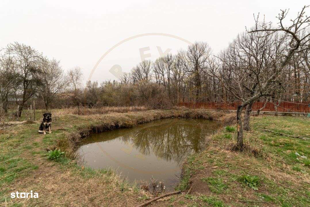 0% Comision !!  CASA CU   LAC SI PRIVELISTE  SUPERBA SPRE PADURE - Imagine principală: 5/8