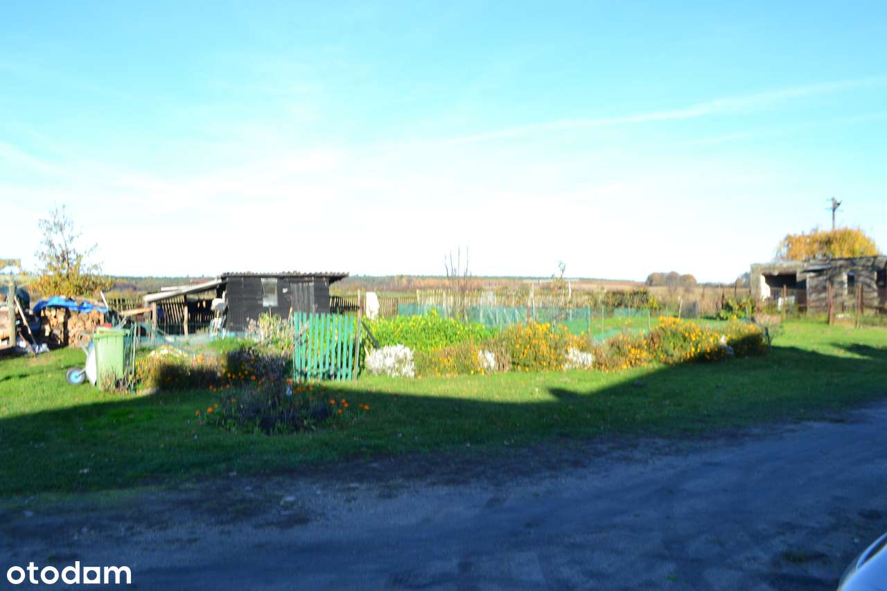 Dom w zabudowie bliźniaczej Wierzowice Wielkie powiat  górowski-16