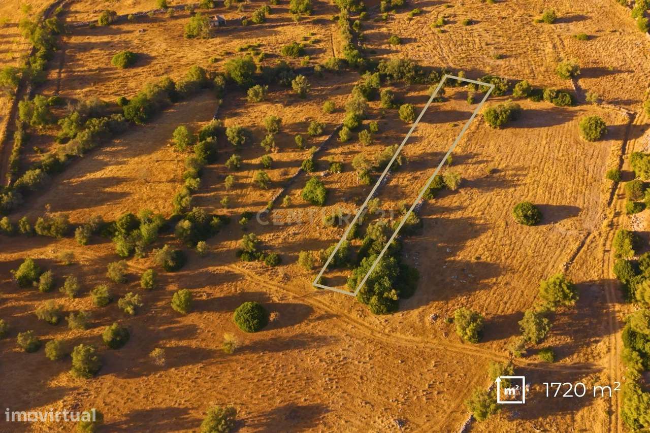 ✅ Terreno Rústico com 1.720 m² – Independência, Bons Acessos e Potenci-3