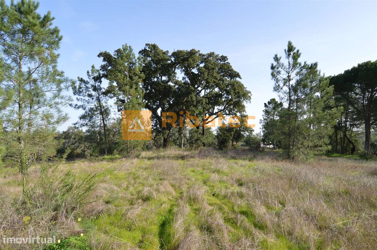 Terreno para construção no Valverde - Grande imagem: 4/5