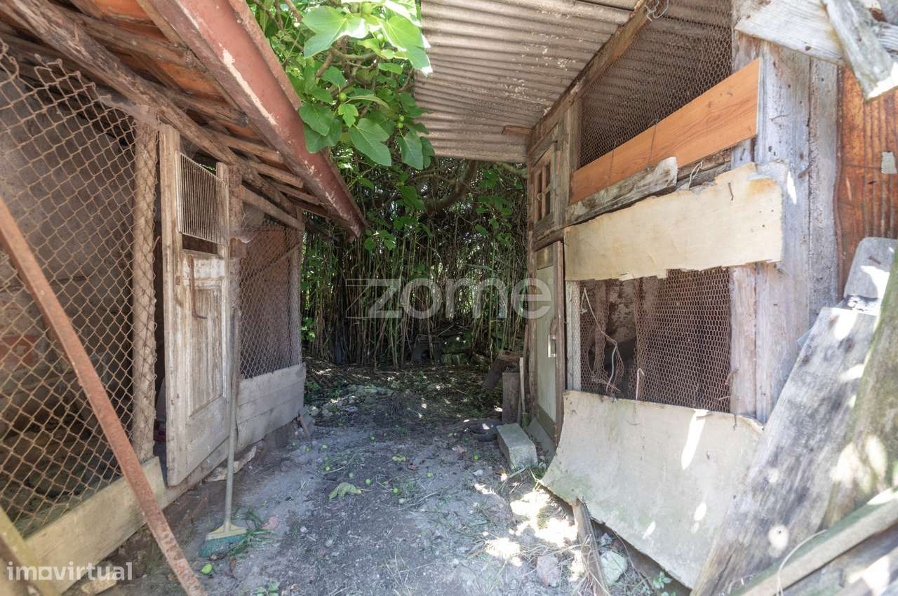 Moradias para recuperar | São Facundo - Coimbra - Grande imagem: 5/47