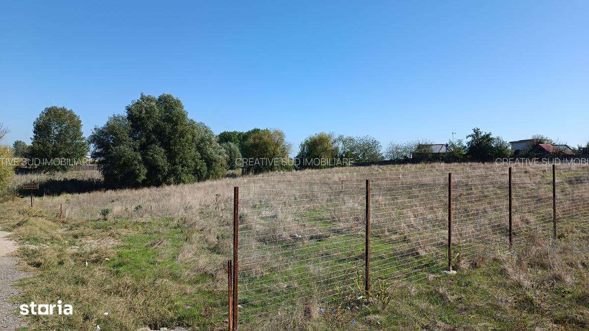 Teren Intravilan 435 mp - Zona Lacuri - 50 m pana la asfalt-4