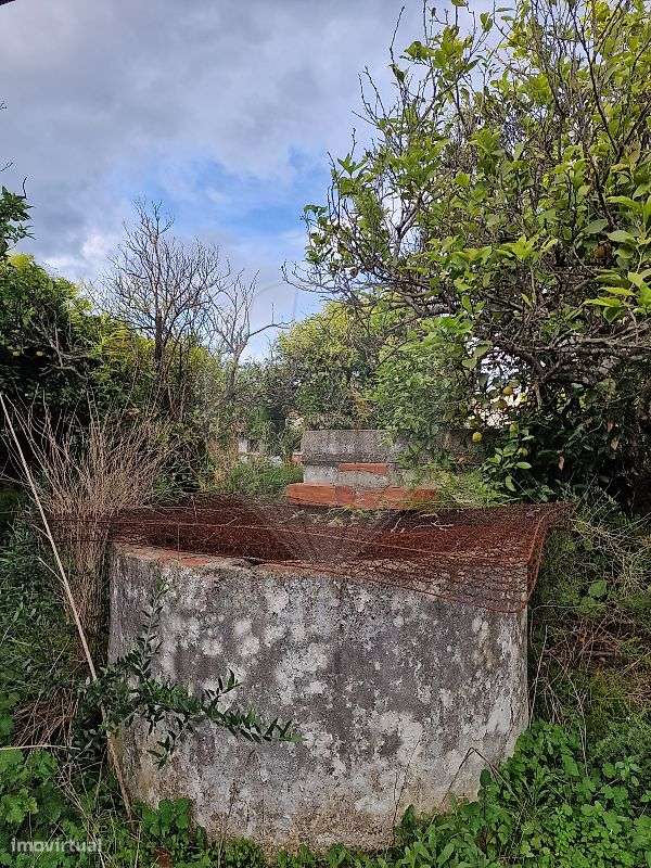 Moradia T2 para venda - Grande imagem: 4/6