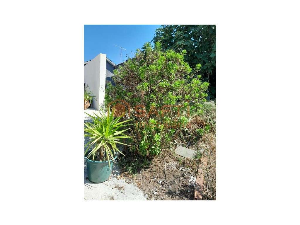 Moradia em pedra - Viseu - Grande imagem: 5/10