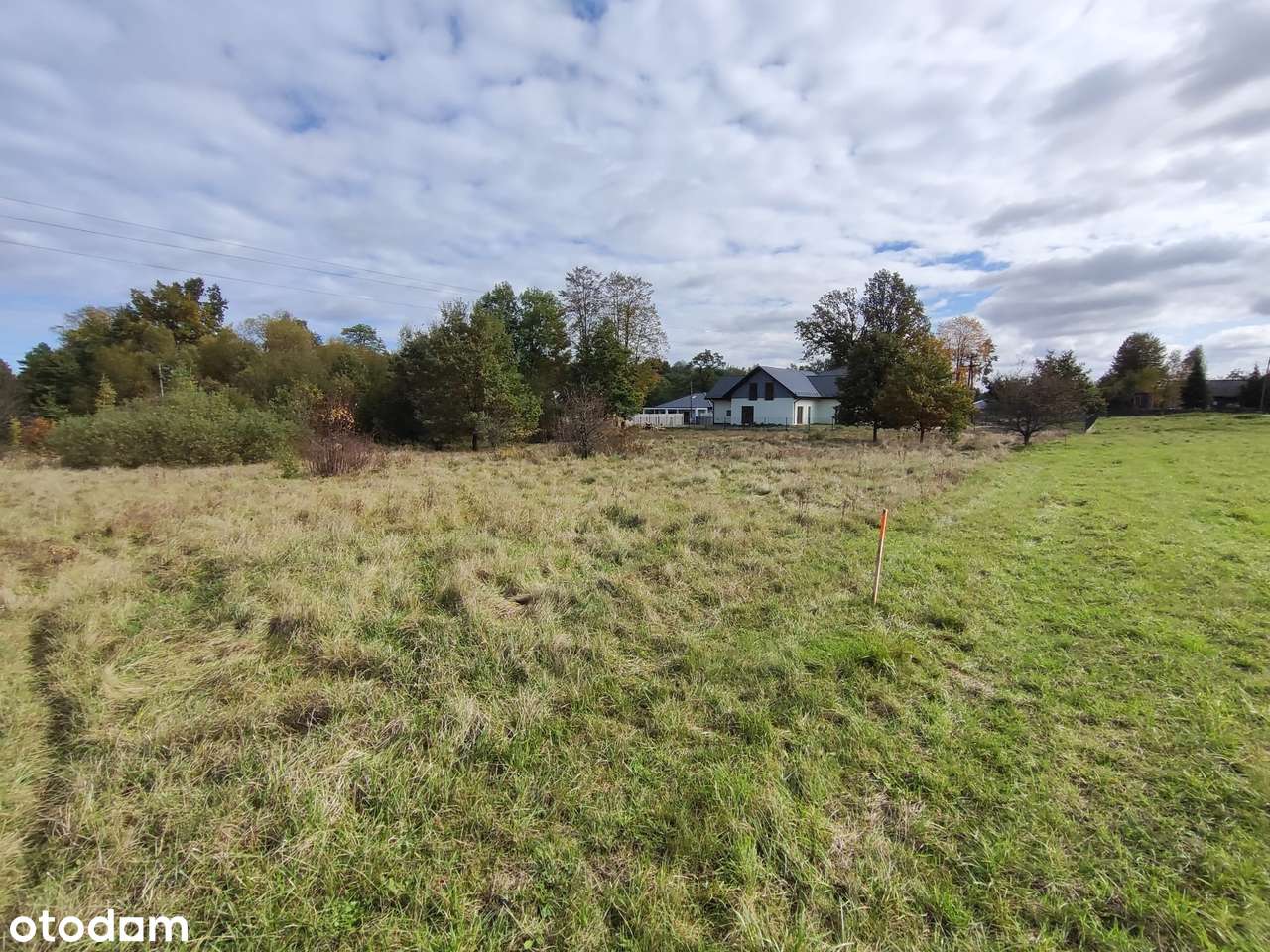 Działki sąsiedztwie lasu. - Pełny obrazek: 2/4