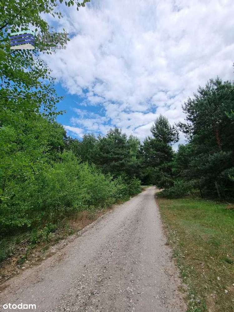 Na sprzedaż działka w bardzo atrakcyjnej cenie-5