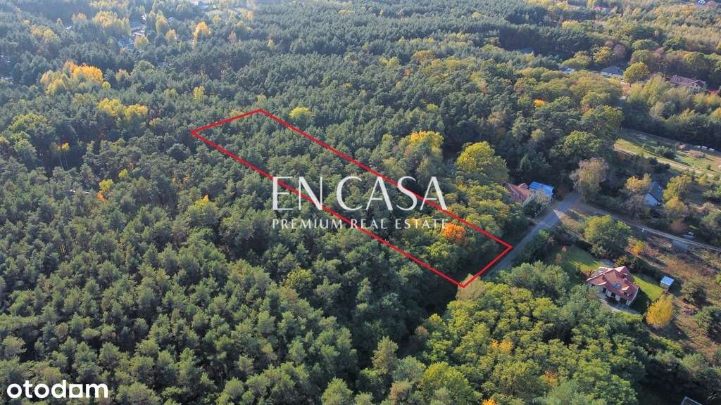 Książenice 6500 m² możliwy podział, jedyna taka - Pełny obrazek: 4/18