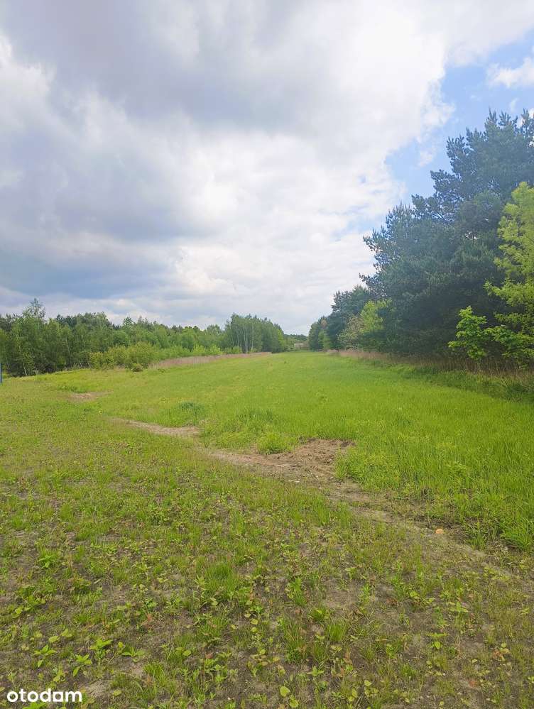 Teren inwestycyjny między Piasecznem, a Konstancinem - Pełny obrazek: 4/7