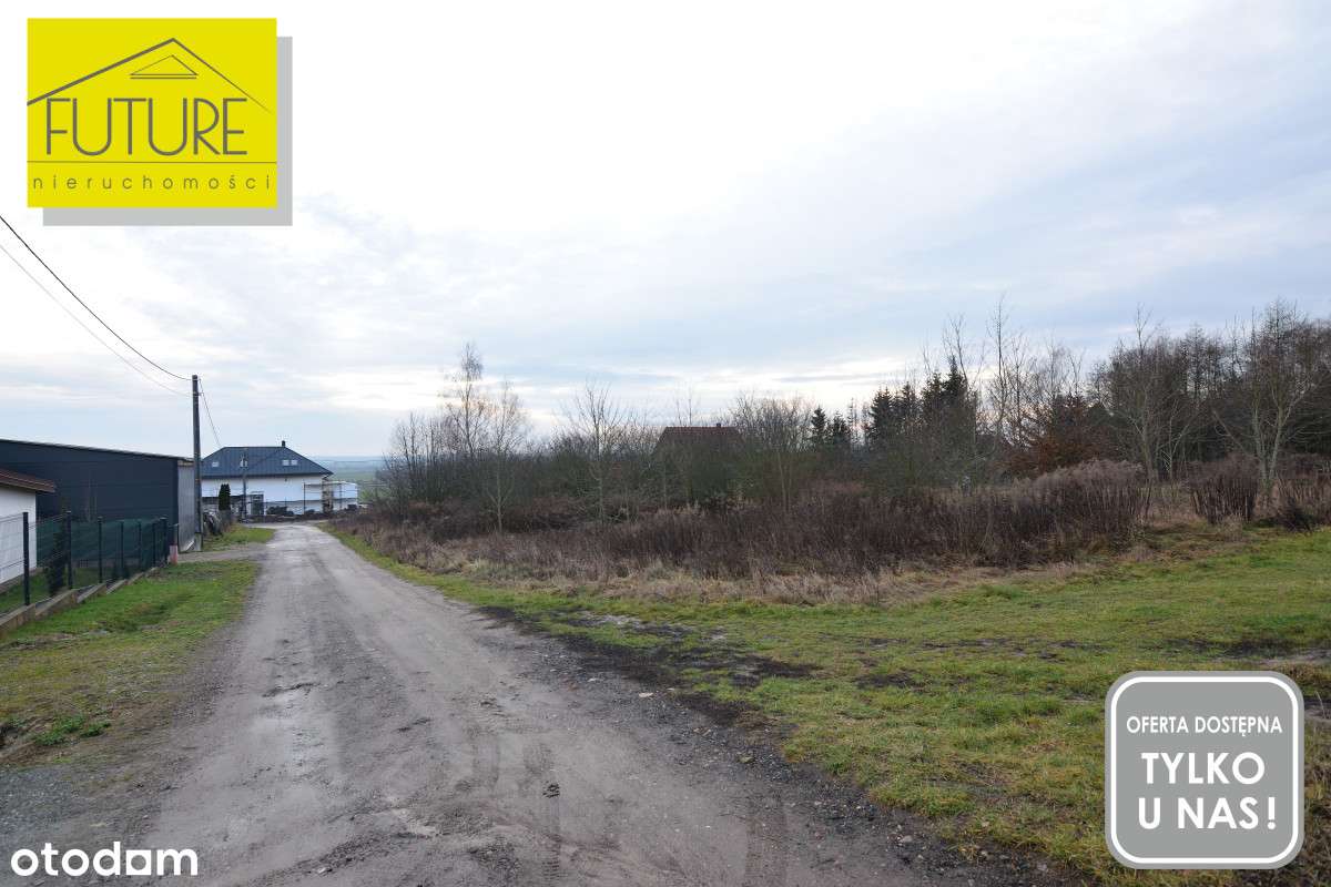 Działaka 2000m w Pilonie - Pełny obrazek: 5/5