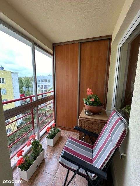 Mieszkanie Tomcia Palucha 29 - Pełny obrazek: 1/12