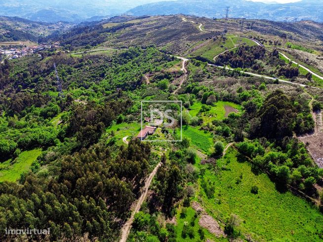 Quinta de sonho em Baião, Grilo.-7