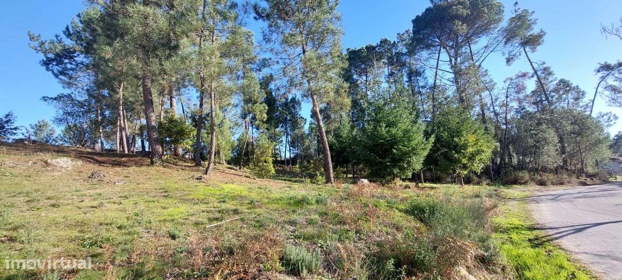 Terreno para Construção Soutulho - Viseu-5