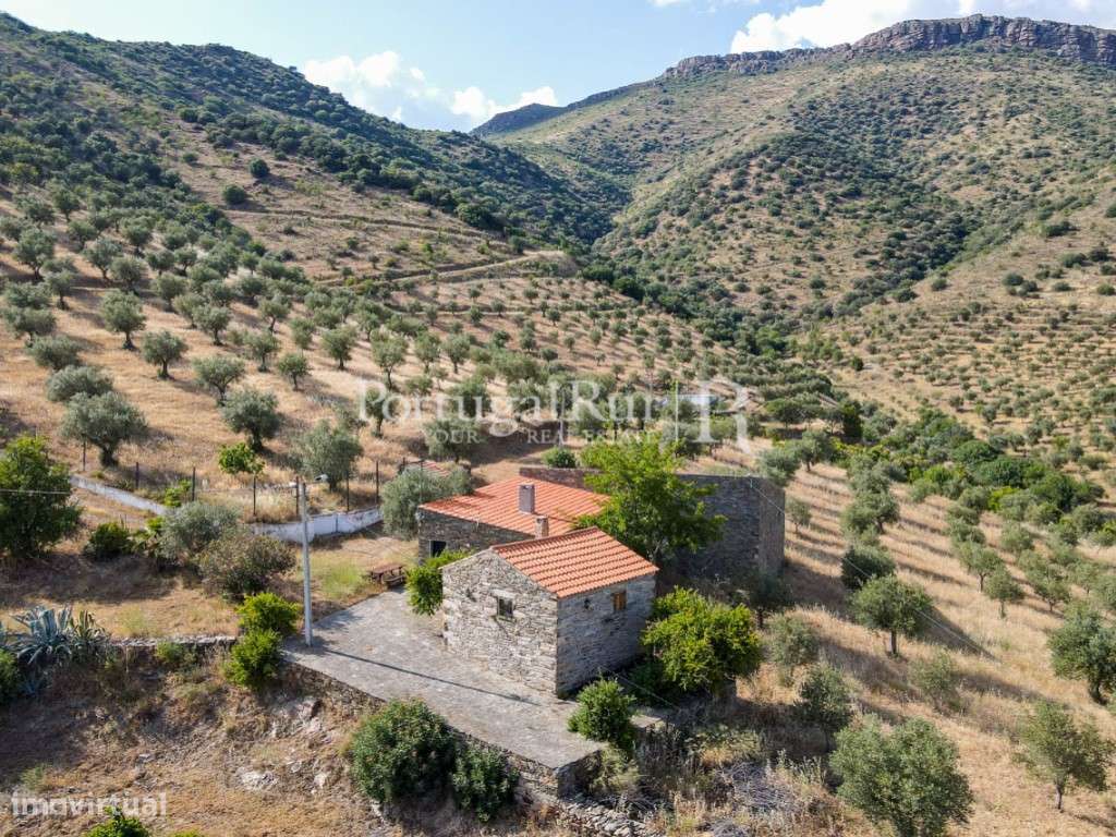 Quinta em Barca D'Alva - Douro - Grande imagem: 2/51