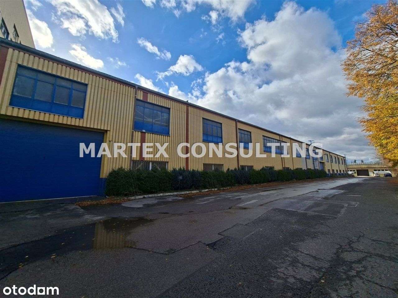 Hala/Magazyn, 2 715,27 m², Czeladź - Pełny obrazek: 5/5