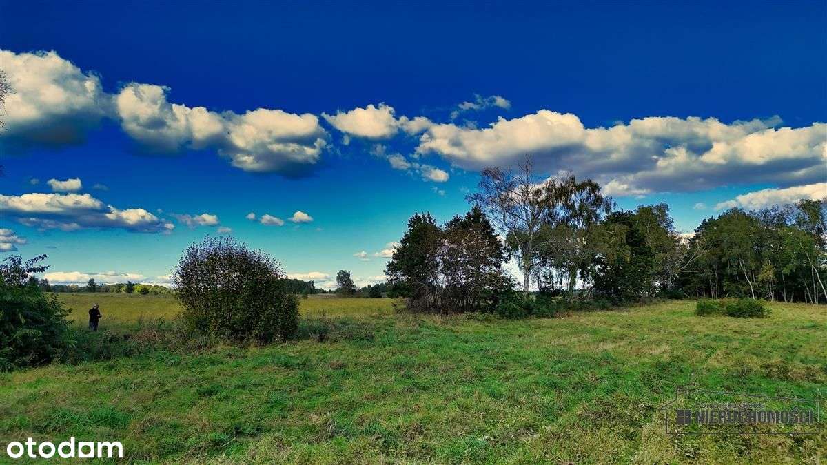 Pod Lasem Ok. 300 M Od Jeziora Pile - Dąbrowica --18