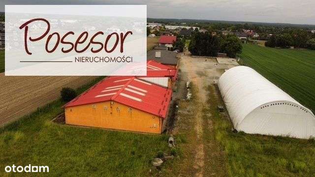 Hale Żory ul. Folwarecka-13