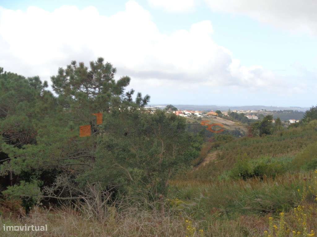 Terreno de 4440 m2 com vista para a Lagoa de Óbidos-3