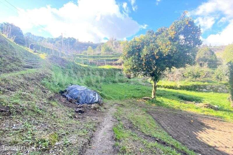 Terreno / Baião, Gove - Grande imagem: 5/10