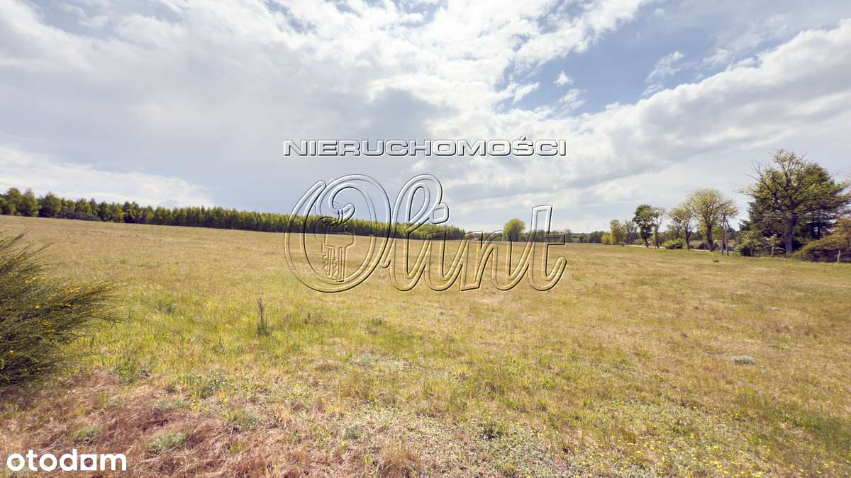 Działki blisko Łeby - Pełny obrazek: 3/6