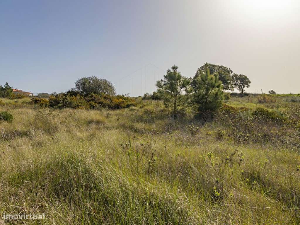 Terreno - Zambujal - Grande imagem: 4/6