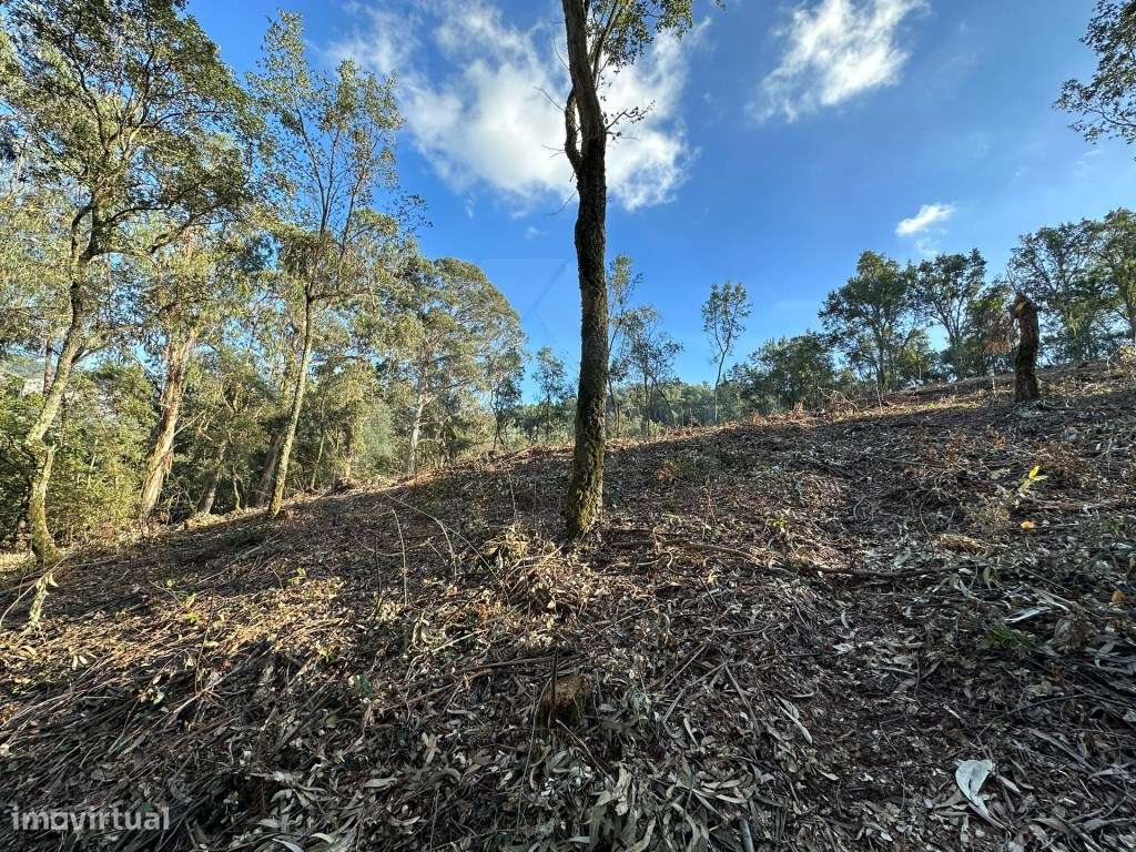 Terreno com 32.000 m2 - Grande imagem: 4/17