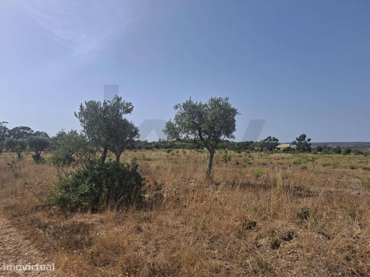 Propriedade agrícola com 78.640 m2 em Vale da Lama, Odiáxere.-6