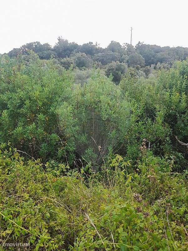 Terreno  para venda - Grande imagem: 3/7