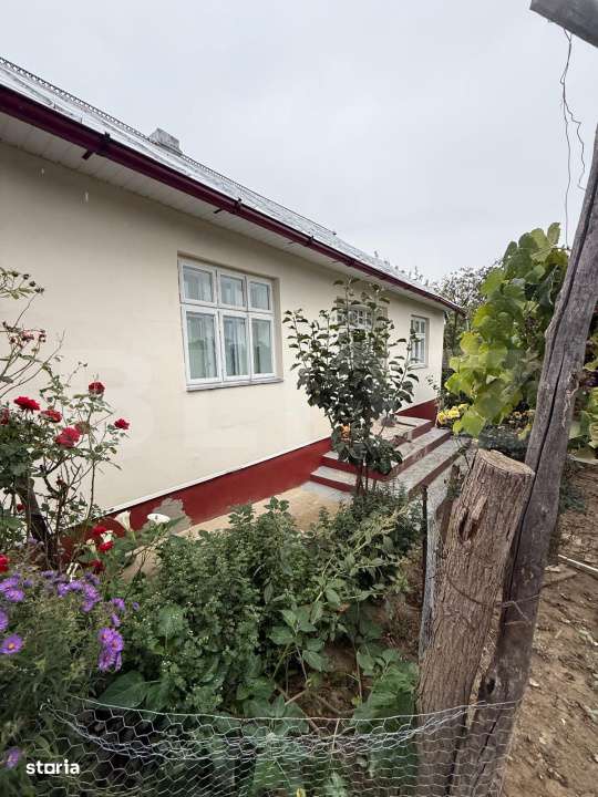 Casa batraneasca, 65 mp si teren intravilan 5600 mp, Adancata - Imagine principală: 2/8