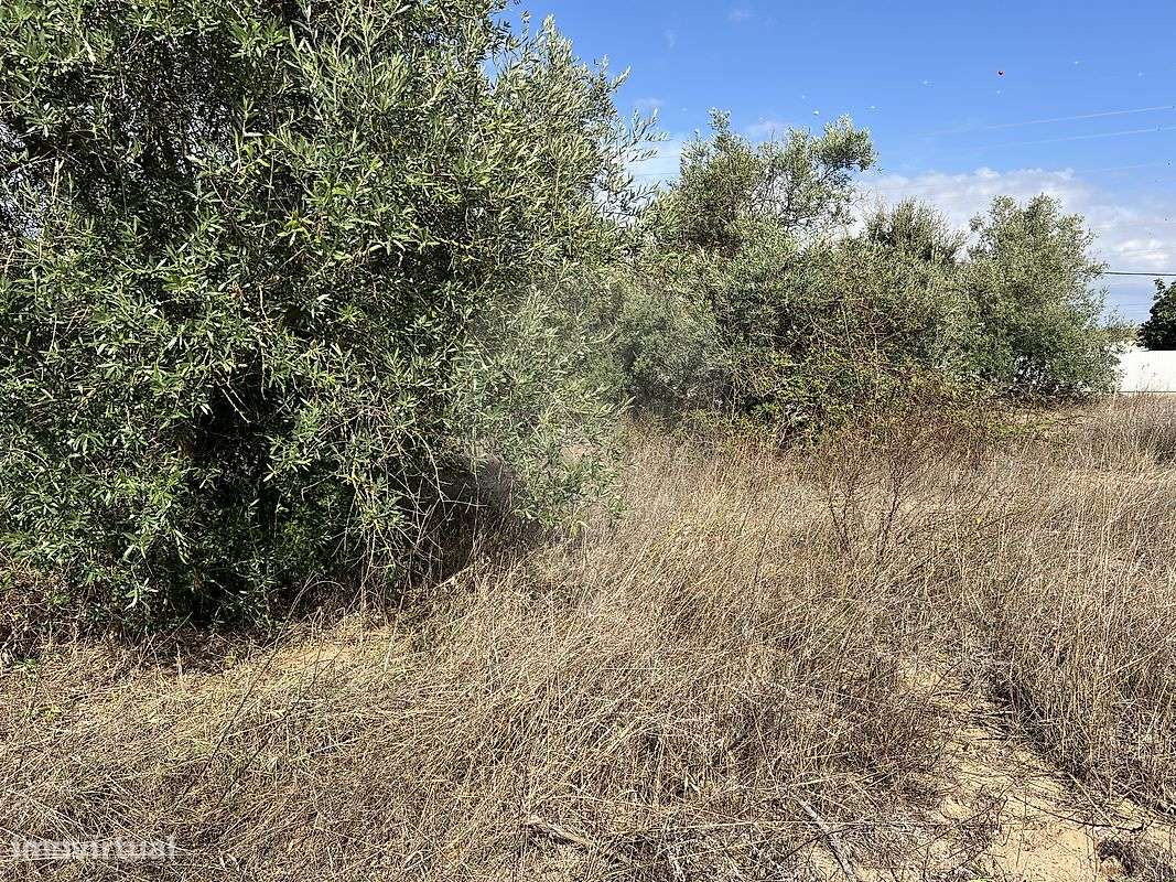 Terreno  para venda - Grande imagem: 2/21