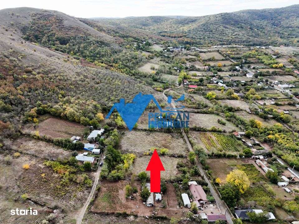 Teren intravilan NICULITEL, zona deosebita, 3044MP-0