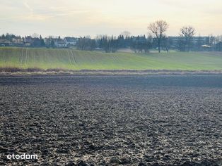 Działka budowlana pod dom - Mieścisko