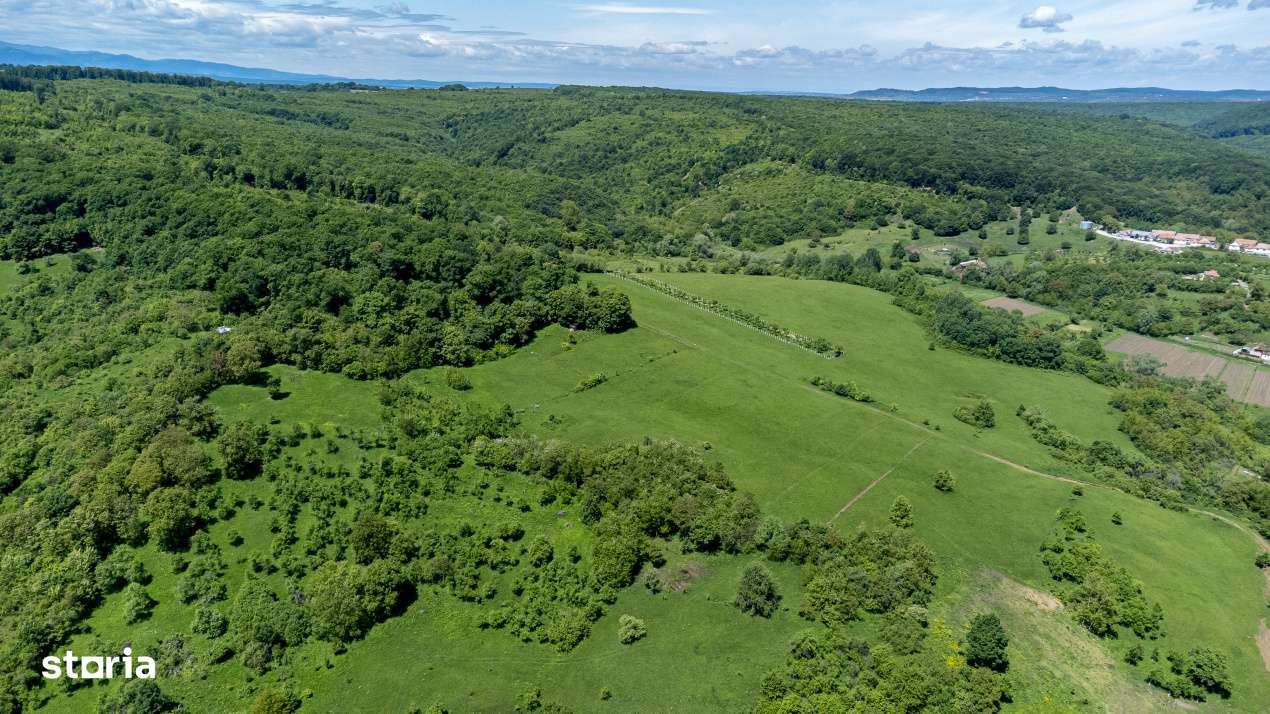 Teren 500 mp in Bradu, Sibiu – 8.000 € – Zona linistita, priveli-3