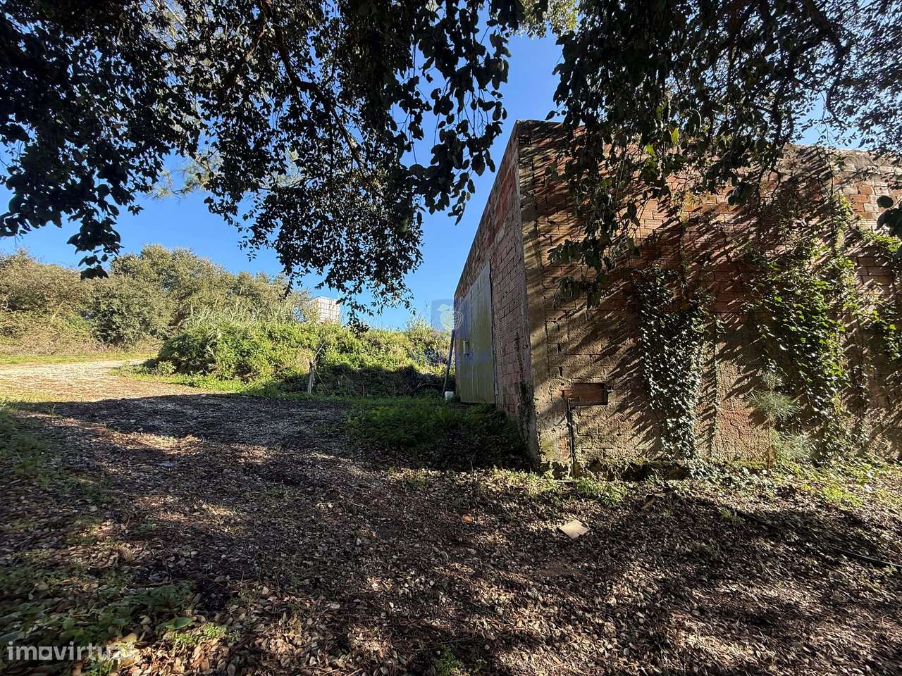 Quinta com 19,195 m² | Vinha Produtiva | Projeto Aprovado p/construção - Grande imagem: 5/39