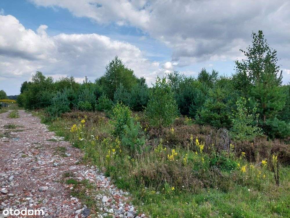 Działka w Błotni na sprzedaż-1