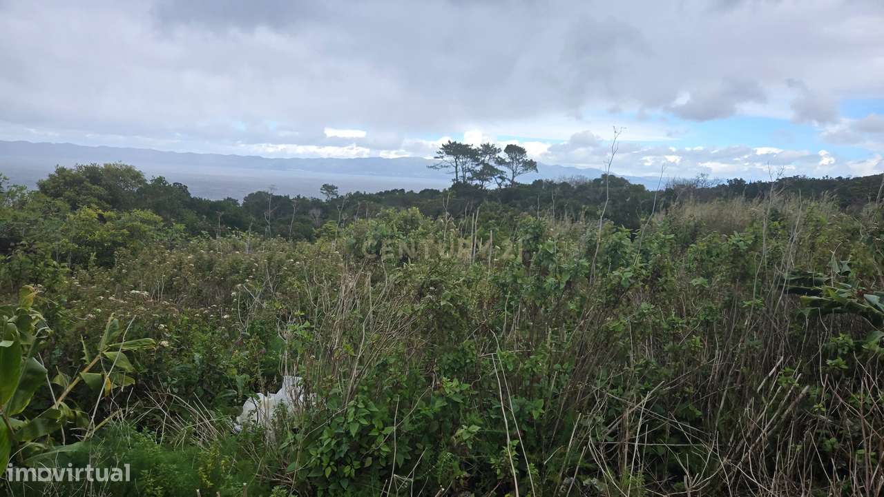 Terreno Urbano em Santo António, Ilha do Pico - Grande imagem: 4/5