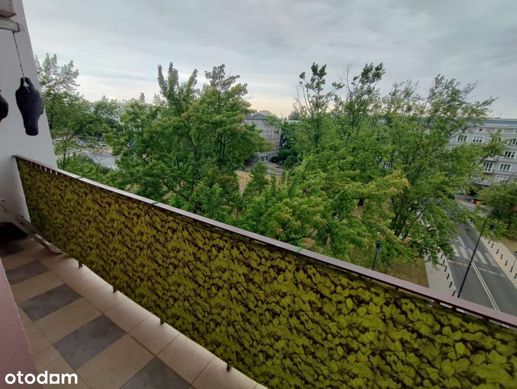 Wojska Polskiego 2 pokoje-12