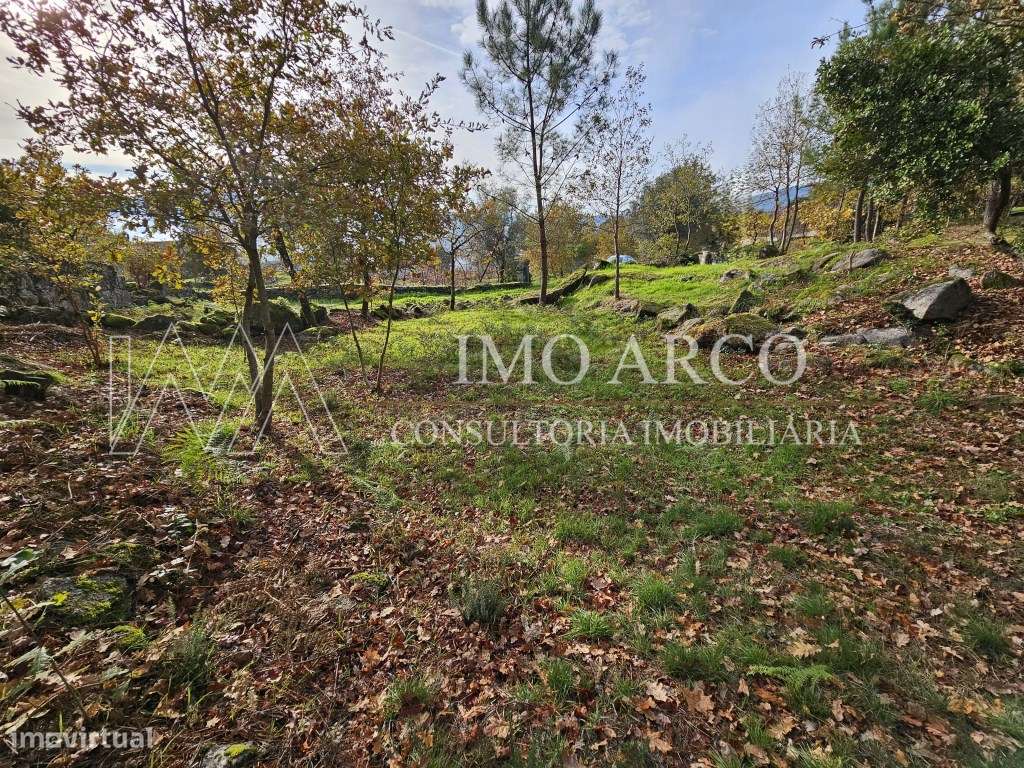 Terreno, Olival de Meanhos-16