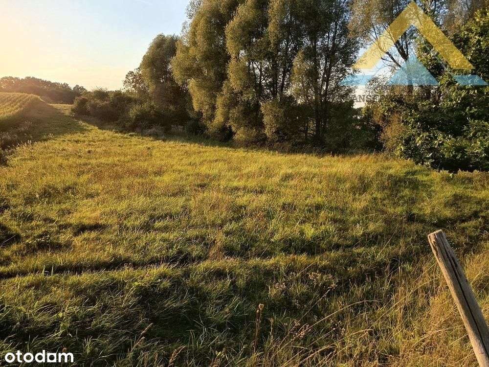 Działka rolna z potencjałem 2986 m2 , 79 tys.!-5