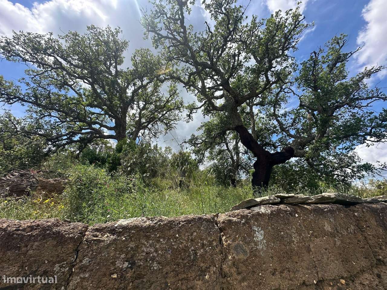 Terreno urbano, com 14 Ha, em Santa Clara-a-Velha, Odemira - Grande imagem: 4/18