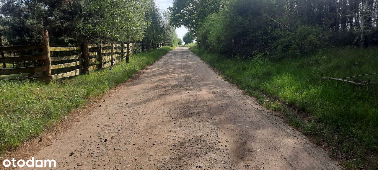 Działka SIEDLISKOWA 1MR  40km Poznań lasy jezioro blisko stadnina koni-15