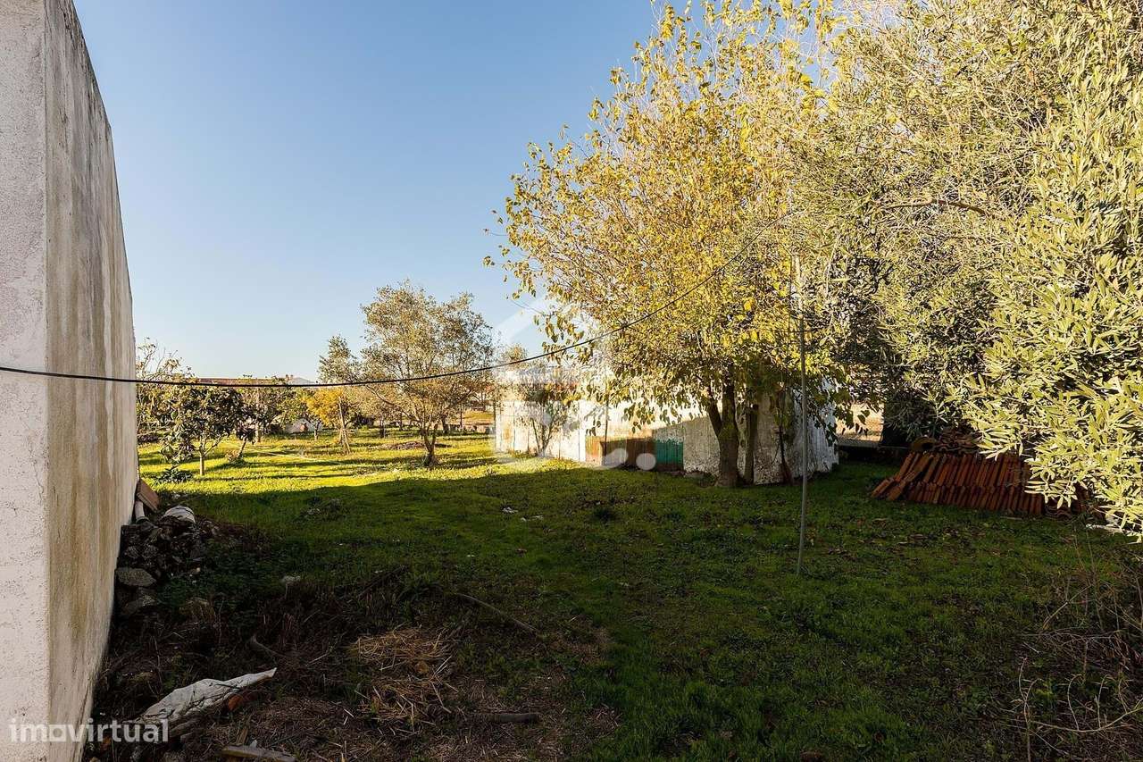 Terreno de  1.350 m² c/ Anexo de Apoio Agrícola | Canaviais, Évora-13