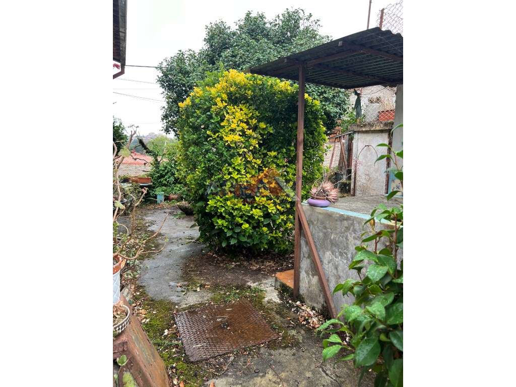 Oportunidade: 2 casas + artigo rústico com 2,0648 ha, perto de Oliv...-2