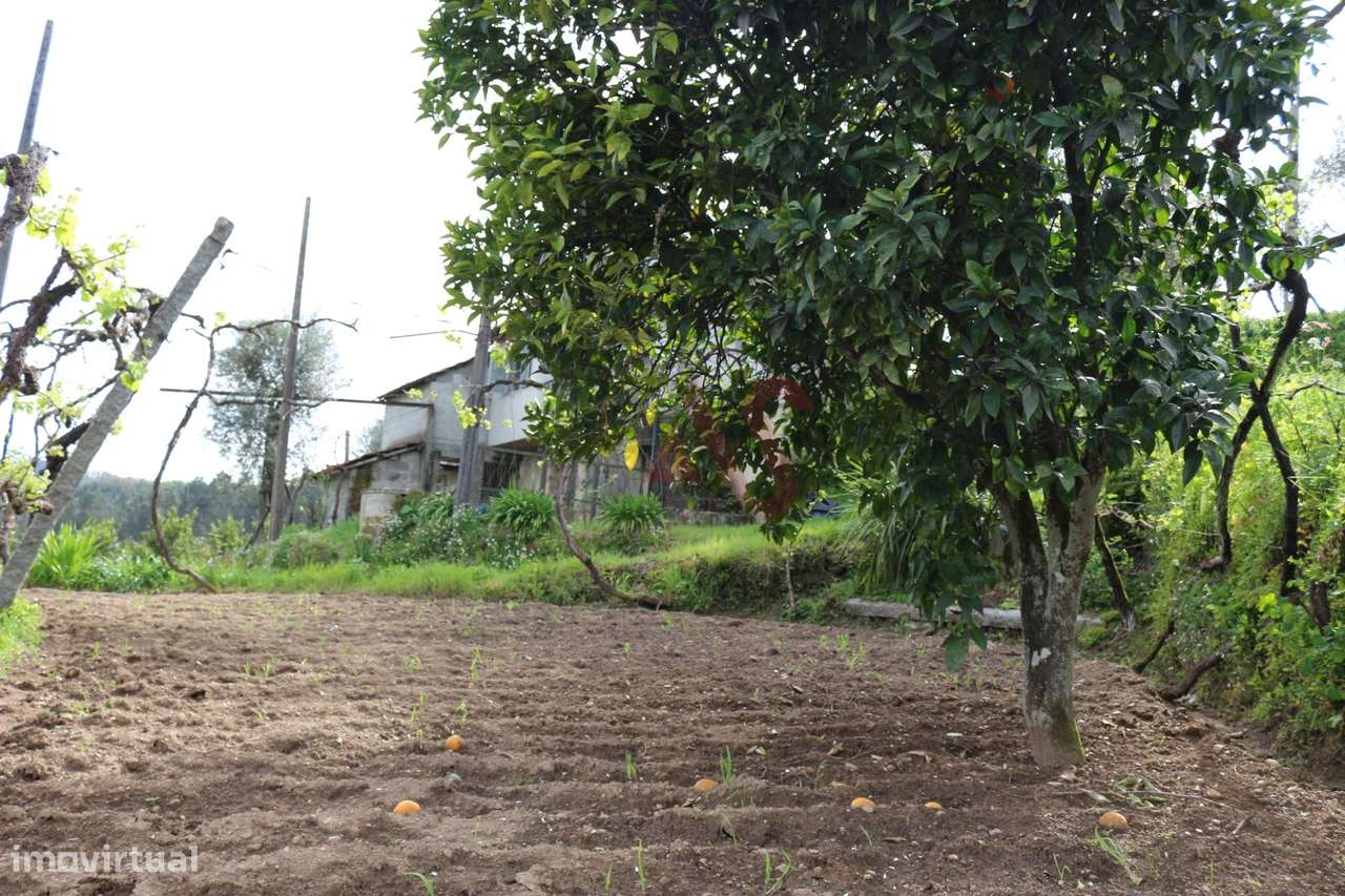 Moradia T2 para restaurar em lote de terreno com 4.049 m2 em Fervença, - Grande imagem: 5/33