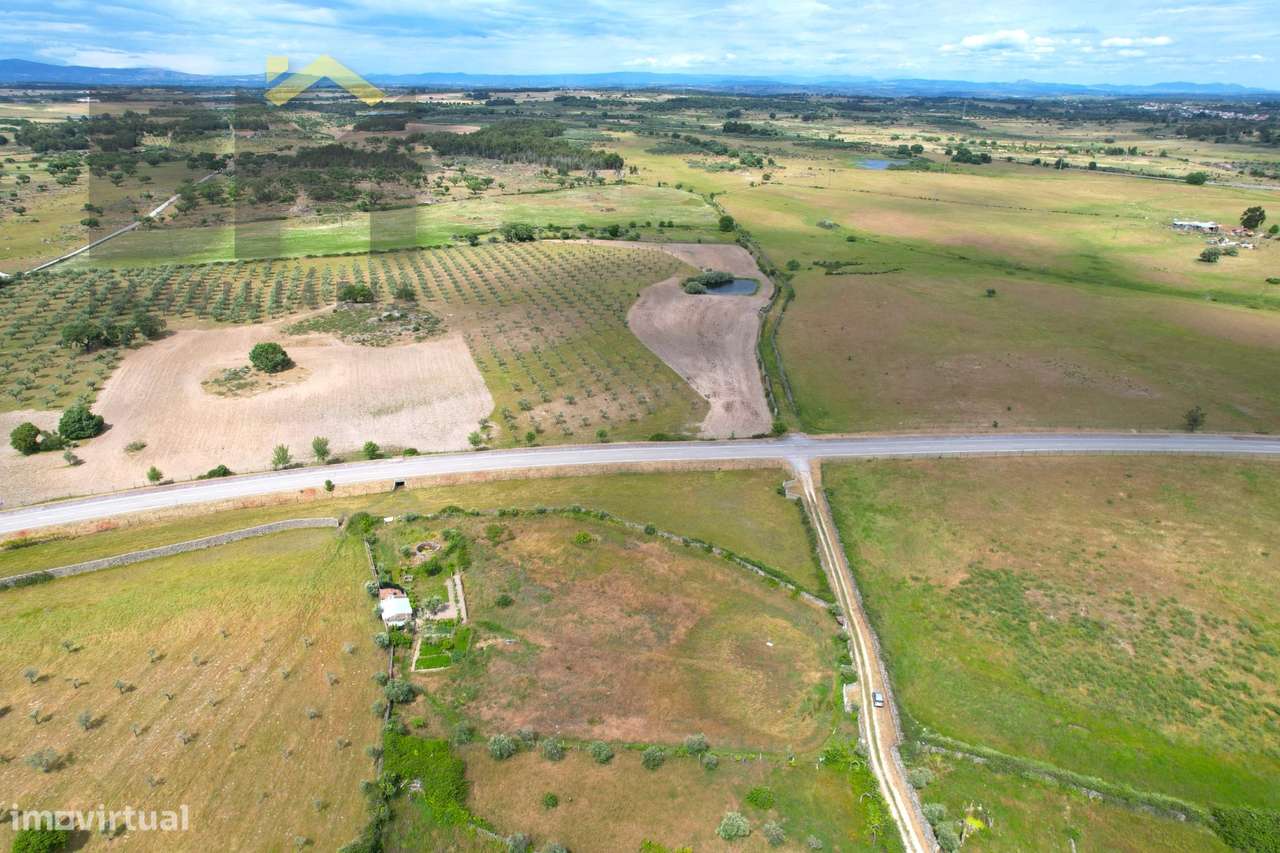 Quinta  Venda em Alcains,Castelo Branco - Grande imagem: 2/30