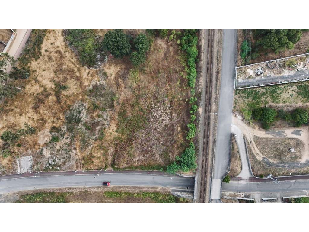 Terreno Rústico - Cristelo Côvo, Valença - Grande imagem: 5/7