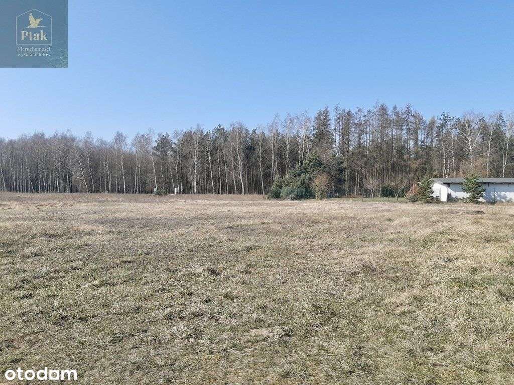 Narożna-Budowlana-wszystkie media-blisko lasu i S5 - Pełny obrazek: 4/9