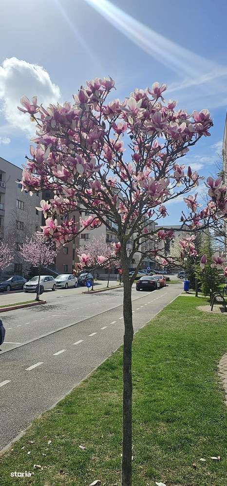 Apartament de vanzare 2 camere in Targoviste| Nou| Garantie|LocatieTop-14